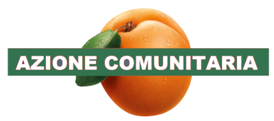 NUOVOLOGO VERDE STANDARD